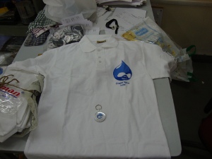 dsi Tshirt 